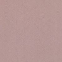 STRING 2021-2024 image 3