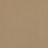 STRING 2021-2024 image 3