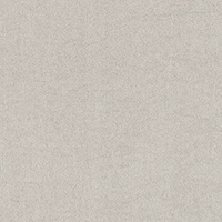 STRING 2021-2024 image 4