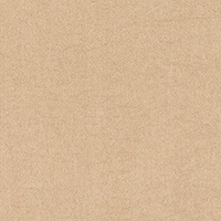 STRING 2021-2024 image 3