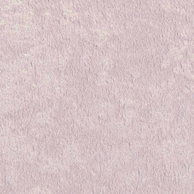 STRING 2021-2024 image 1