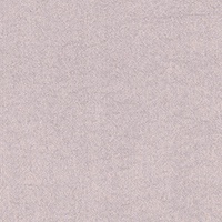 STRING 2021-2024 image 3