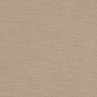 STRING 2021-2024 image 5