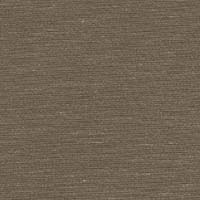 STRING 2021-2024 image 5