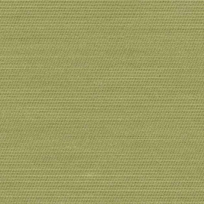 STRING 2021-2024 image 2