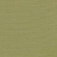 STRING 2021-2024 image 4