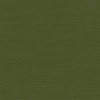 STRING 2021-2024 image 1