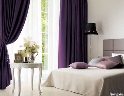 STRING 2021-2024 image 1