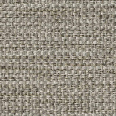 STRING 2021-2024 image 2