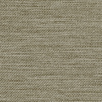 STRING 2021-2024 image 4