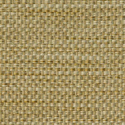 STRING 2021-2024 image 1