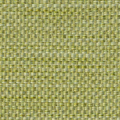 STRING 2021-2024 image 4