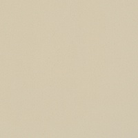 STRING 2021-2024 image 4