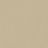 STRING 2021-2024 image 4