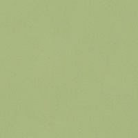 STRING 2021-2024 image 6