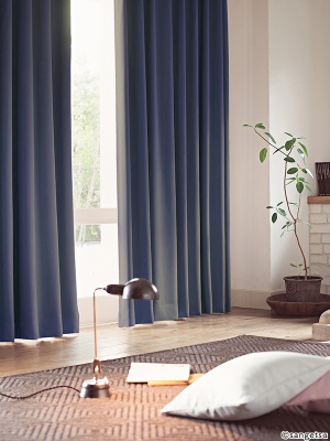 STRING 2021-2024 image 4