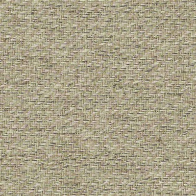 STRING 2021-2024 image 1