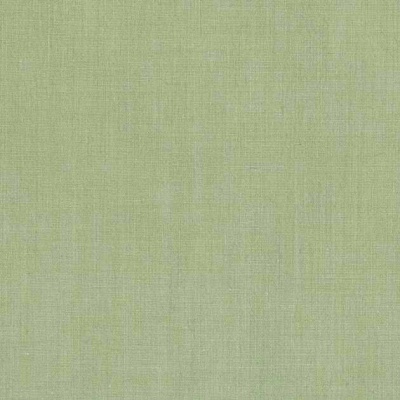 STRING 2021-2024 image 1