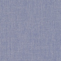 STRING 2021-2024 image 4