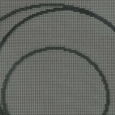 STRING 2021-2024 image 3