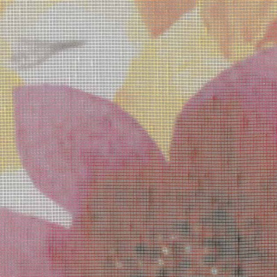 STRING 2021-2024 image 2