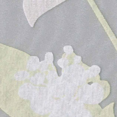 STRING 2021-2024 image 2