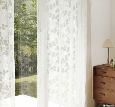 STRING 2021-2024 image 2