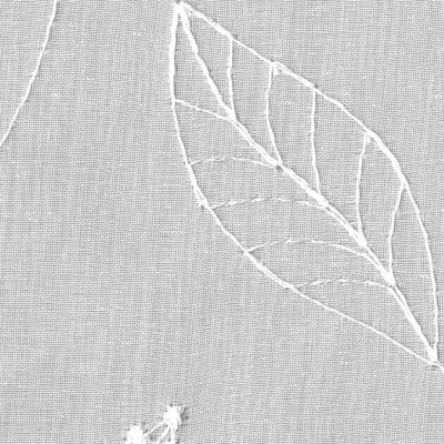 STRING 2021-2024 image 1