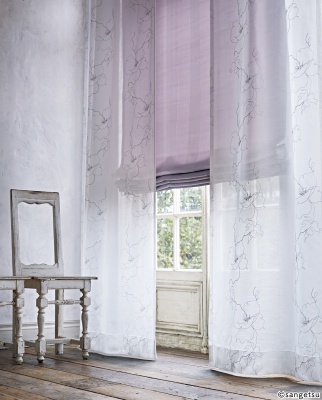 STRING 2021-2024 image 1