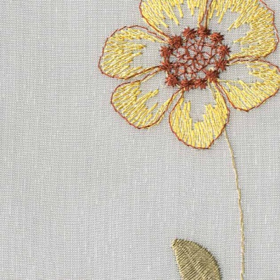 STRING 2021-2024 image 3