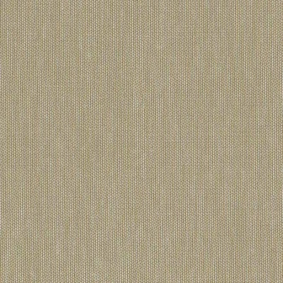 String 2021-2024 image 1