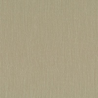 String 2021-2024 image 5