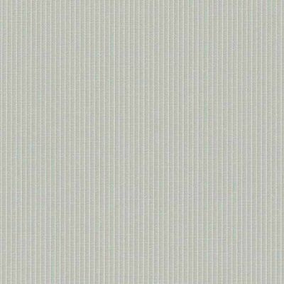 STRING 2021-2024 image 1