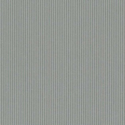 STRING 2021-2024 image 1