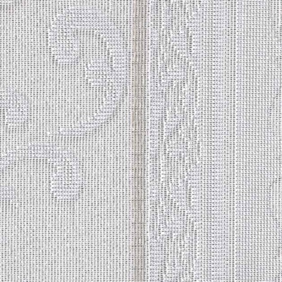 STRING 2021-2024 image 1