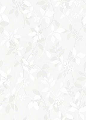 STRING 2021-2024 image 3