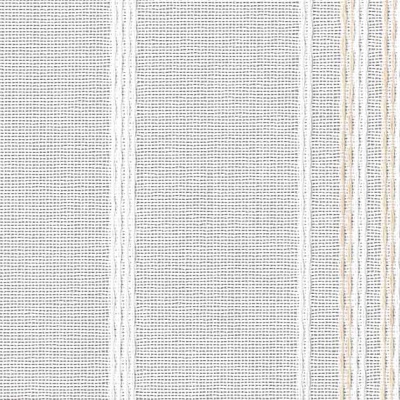 STRING 2021-2024 image 1