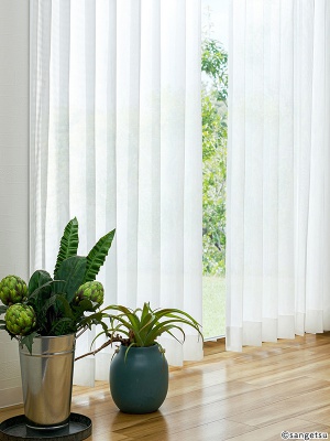 STRING 2021-2024 image 3