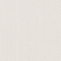 STRING 2021-2024 image 4